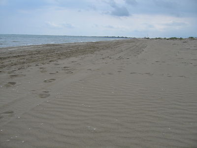 Paissatge I
