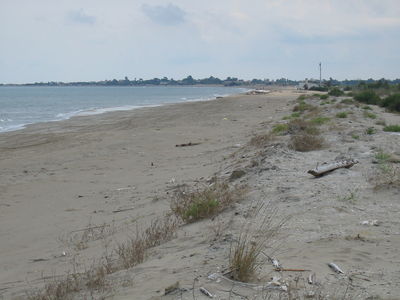 Paissatge II
