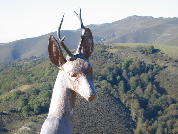 Estatua en honor de la berrea
