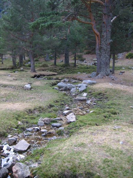 El riu sec de la laguna negra
