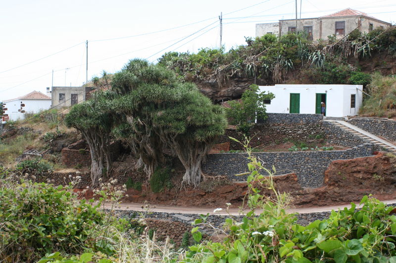 2006-06-04 a 11 La Palma 019.jpg