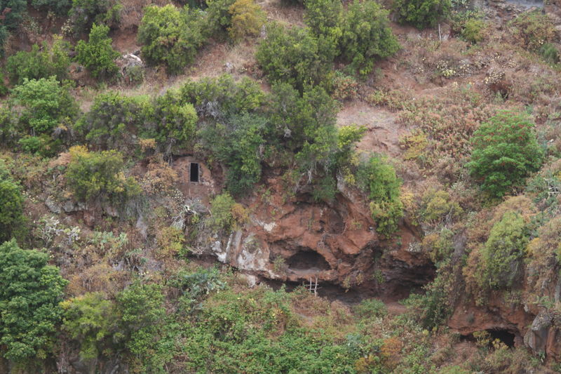 2006-06-04 a 11 La Palma 020.jpg
