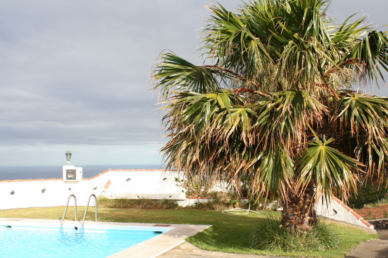 2006-06-04 a 11 La Palma 027.jpg