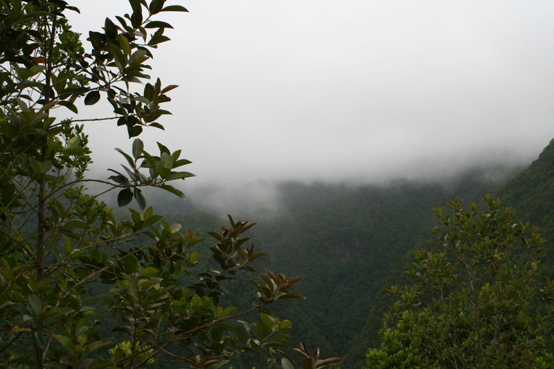 núvols de la palma
