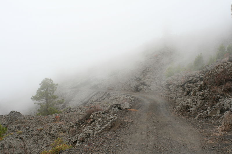 el camí encantat

