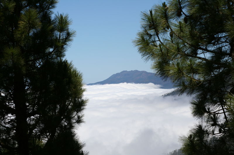 2006-06-04 a 11 La Palma 100.jpg