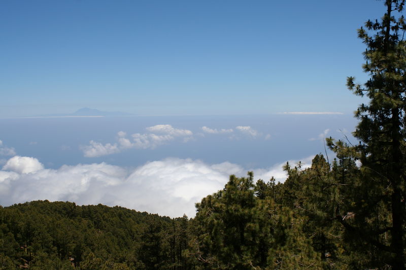 tenerife al fons

