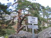 Nombre del archivo=00067.jpg
Tamaño del archivo=1365KiB
Dimensiones=1600x1200
Fecha añadida=Octubre 12, 2005 00067.jpg
