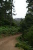 2006-06-04 a 11 La Palma 004.jpg