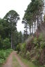 2006-06-04 a 11 La Palma 008.jpg
