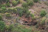 2006-06-04 a 11 La Palma 020.jpg