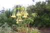 Nombre del archivo=2006-06-04 a 11 La Palma 058.jpg
Tamaño del archivo=3026KiB
Dimensiones=3456x2304
Fecha añadida=Julio 30, 2006 2006-06-04 a 11 La Palma 058.jpg