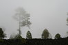 2006-06-04 a 11 La Palma 088.jpg