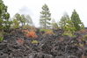 2006-06-04 a 11 La Palma 090.jpg