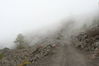 2006-06-04 a 11 La Palma 095.jpg