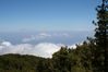 2006-06-04 a 11 La Palma 105.jpg