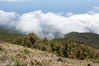 2006-06-04 a 11 La Palma 106.jpg