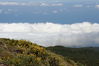 2006-06-04 a 11 La Palma 108.jpg