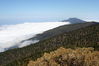 2006-06-04 a 11 La Palma 109.jpg