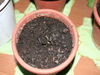 Imagen 003.jpg