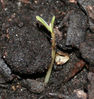 Imagen 004 detall.jpg