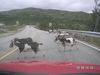 Noruega Agost 2005 166.jpg