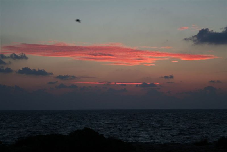 sortida de sol desde la Torre de ses Portes
