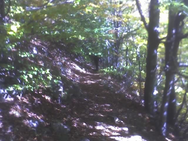 22-10-06_1302.jpg