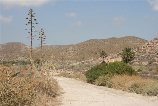 2007-09_Andalusia_112.jpg
