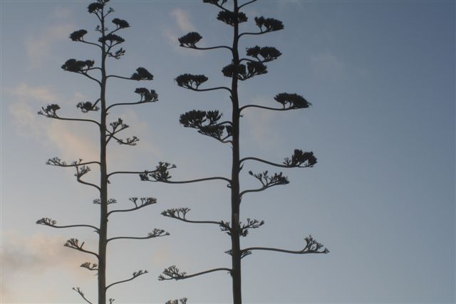 2007-09_Andalusia_297.jpg