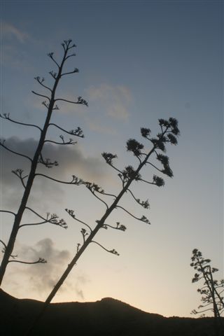 2007-09_Andalusia_305.jpg