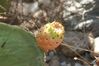 2007-09_Andalusia_225.jpg