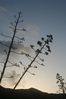 2007-09_Andalusia_305.jpg