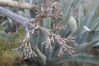 2007-09_Andalusia_306.jpg