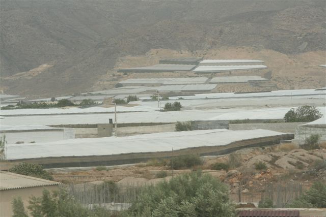 2007-09_Andalusia_347.jpg