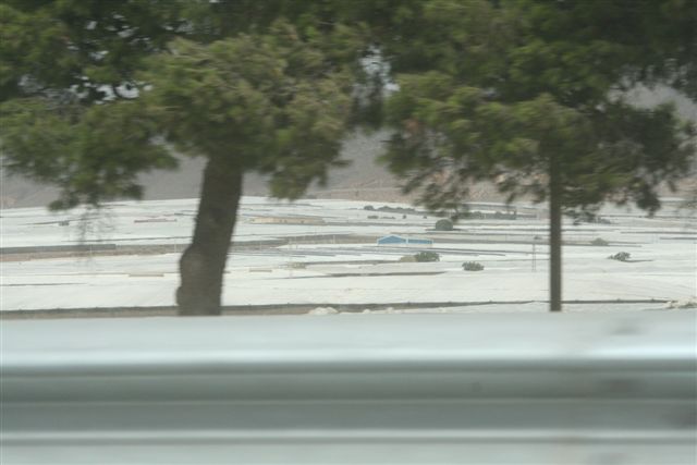 2007-09_Andalusia_373.jpg