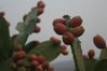 2007-09_Andalusia_441.jpg