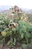 2007-09_Andalusia_444.jpg
