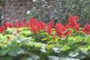 2007-09_Andalusia_633.jpg