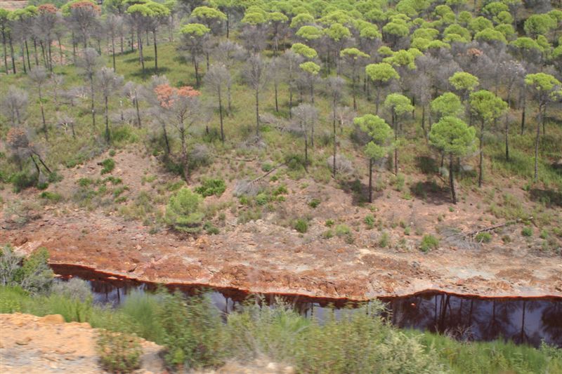 2007-09_Andalusia_875.jpg