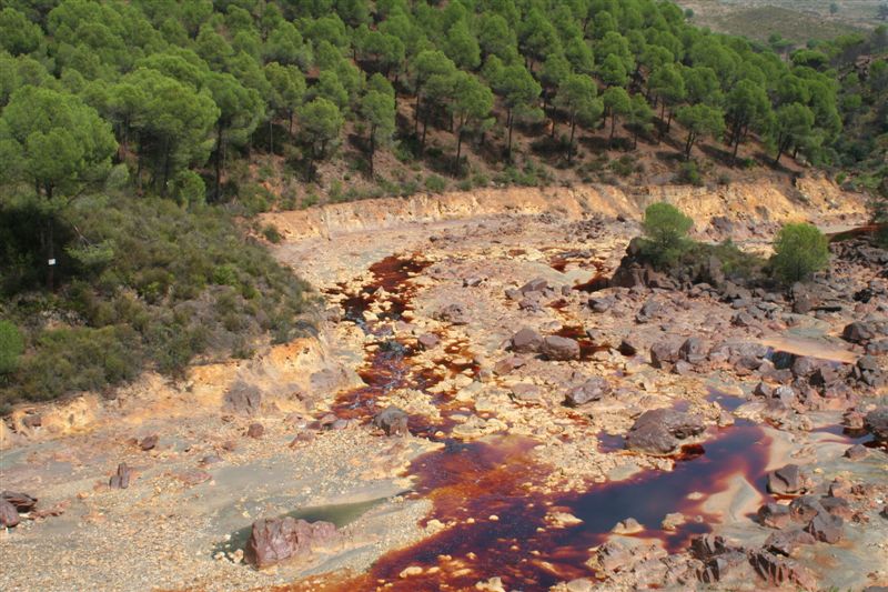 2007-09_Andalusia_876.jpg