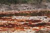 2007-09_Andalusia_866.jpg