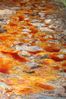 2007-09_Andalusia_915.jpg