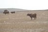 2007-09_Andalusia_1018.jpg