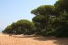 2007-09_Andalusia_1113.jpg
