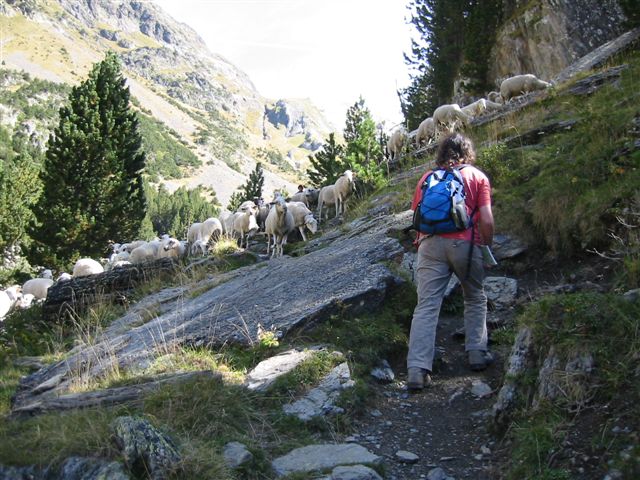 2007-09_Benasque_003.jpg