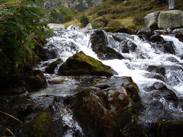 IMGP1367.JPG
