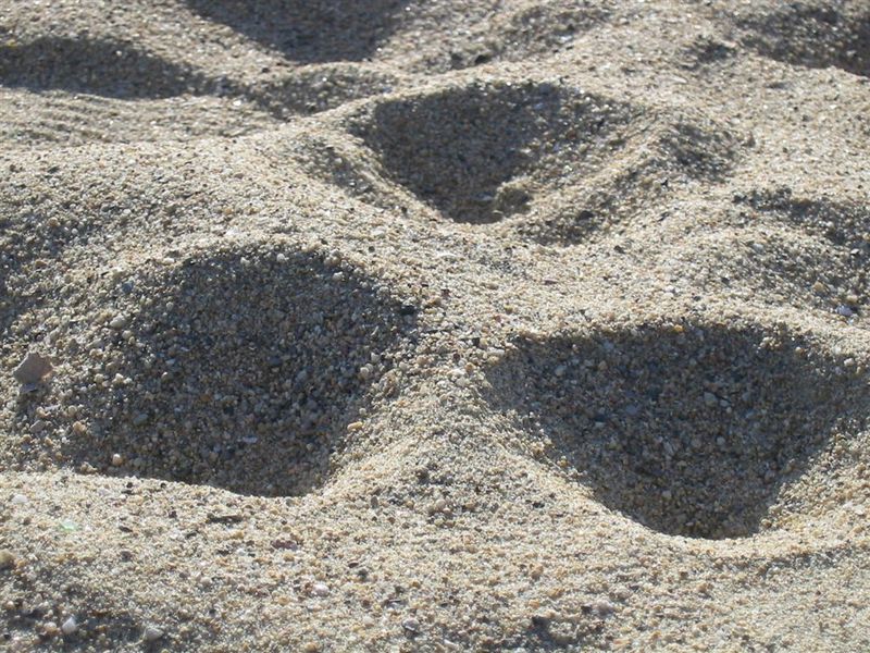 2007-12-31_Platja_Barcelona_021.jpg
