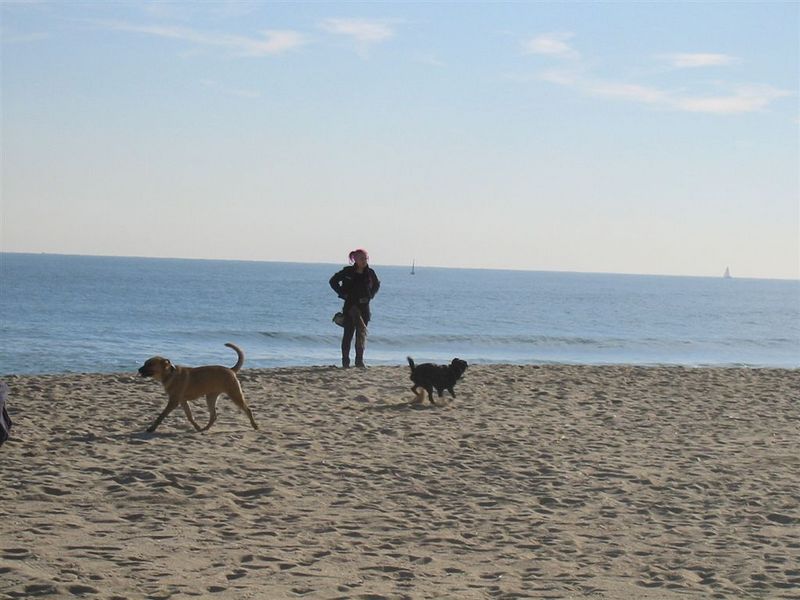 2007-12-31_Platja_Barcelona_032.jpg