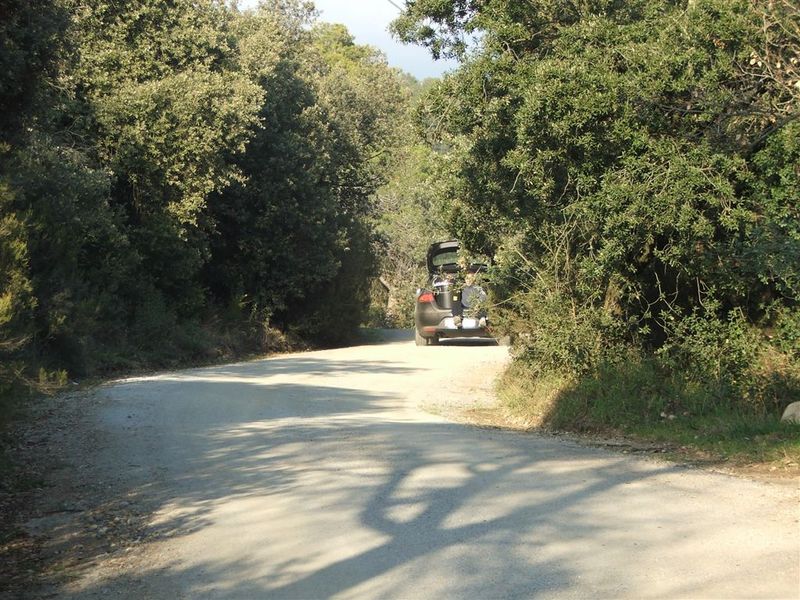 DSCF4962.JPG